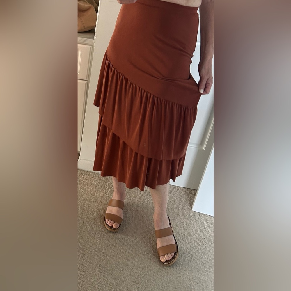 Anthropologie Rust Maxi Skirt - Picture 3 of 4